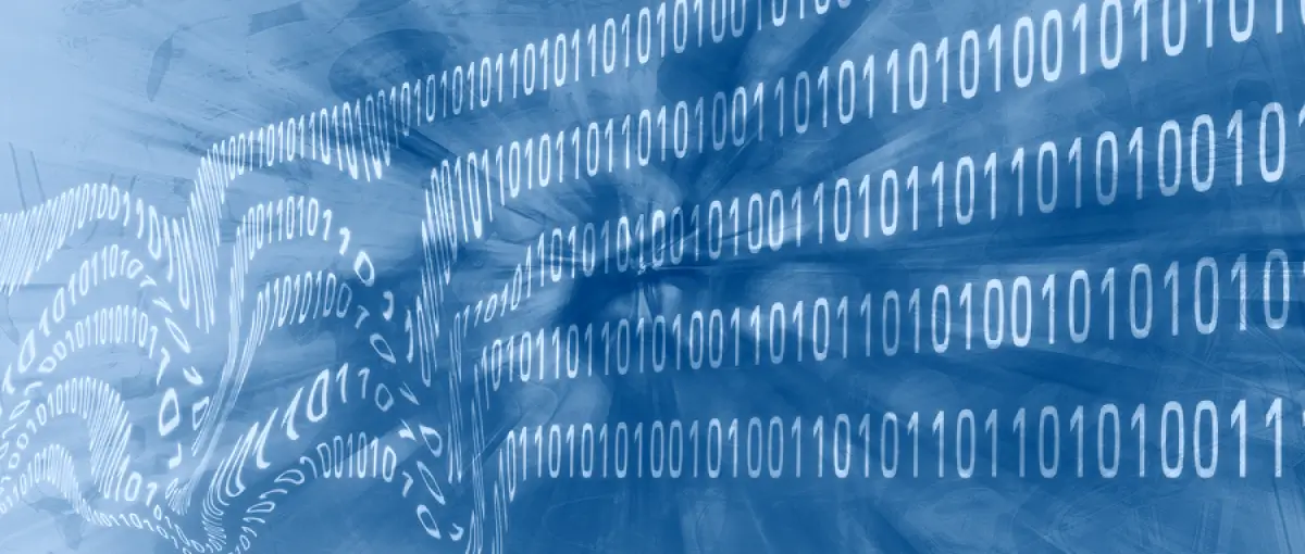 Firmware Corruption: Common Causes and Solutions