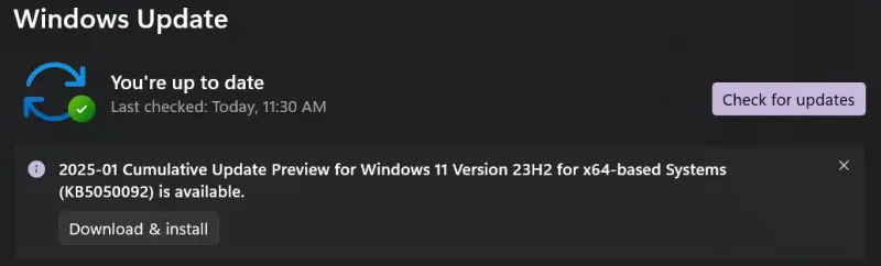 A screenshot showing how to check for updates on Windows 11.
